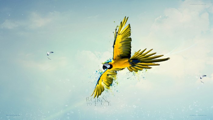 Yellow and blue macaw flying with paint splatters