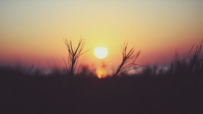Sunset over a field with grass in silhouette
