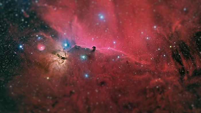 The Horsehead Nebula in the constellation Orion