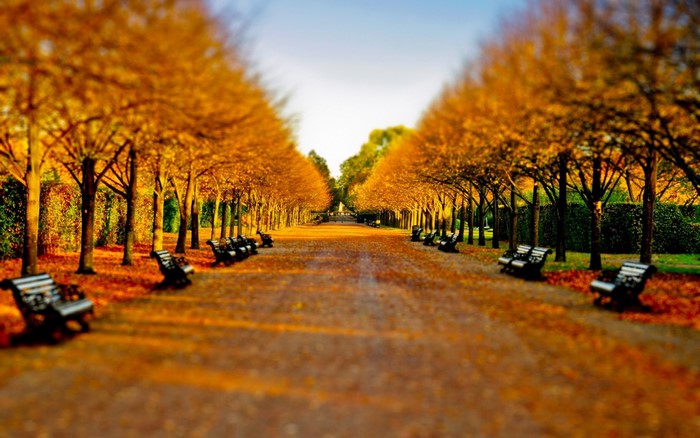 Autumn park pathway with benches and trees
