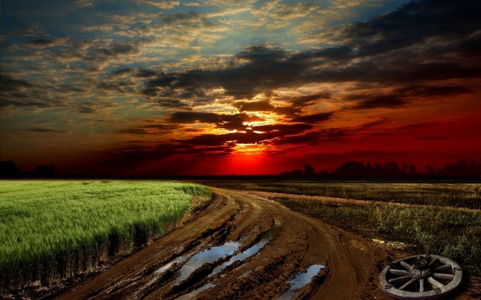 Muddy road through a field at sunset