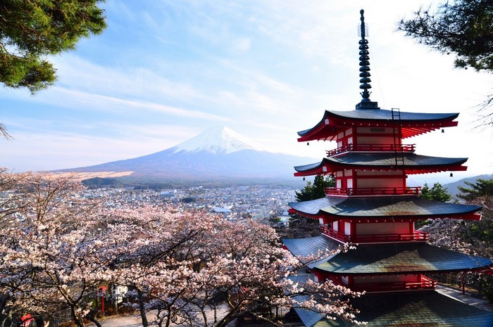 Mount Fuji and Chureito Pagoda with Cherry Blossoms