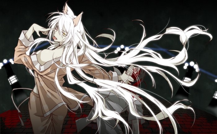 Hanekawa Tsubasa from Monogatari Series with Nekomimi