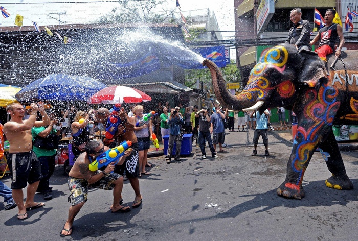 Elephant spraying water during Songkran Water Festival in Thailand