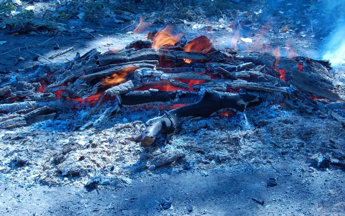Burning embers and ash from a campfire