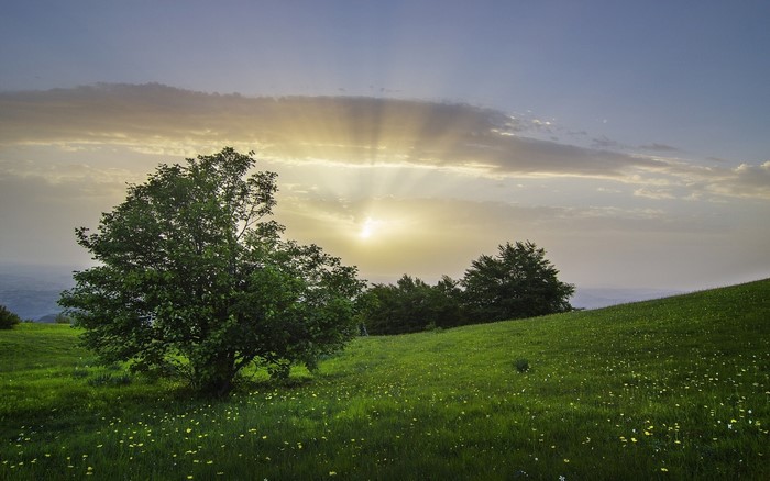 Sunrise Over Green Hills in Italy