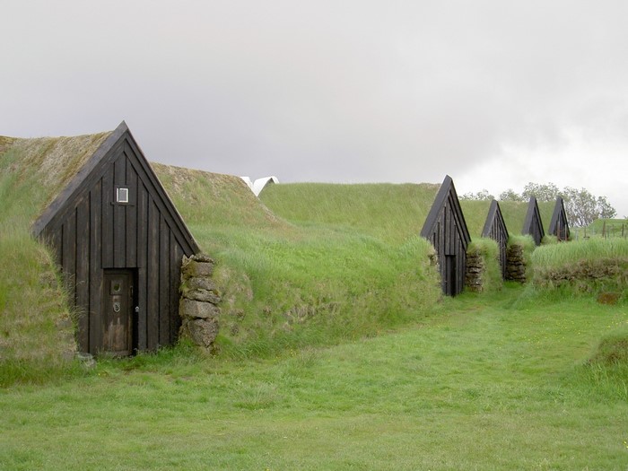 Turf-roofed buildings in a grassy landscape in Iceland