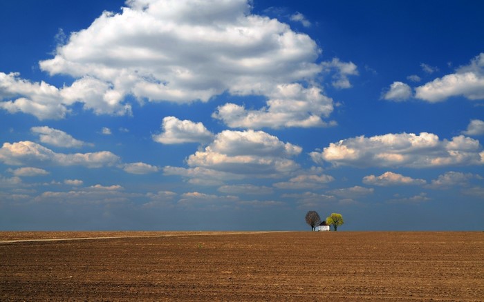 A lone house and trees in a vast, plowed field under a cloudy sky