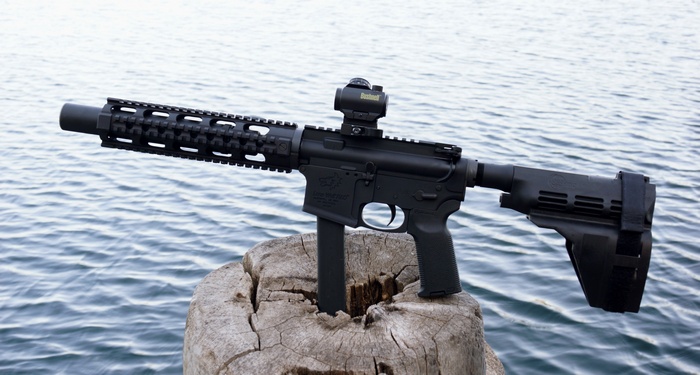 AR-15 pistol with Bushnell red dot sight
