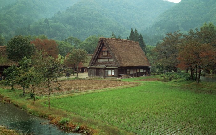 Traditional Japanese Gassho-zukuri farmhouse in a rural valley