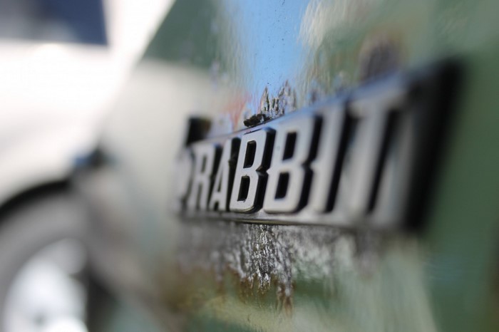Close up of a car emblem on a green surface