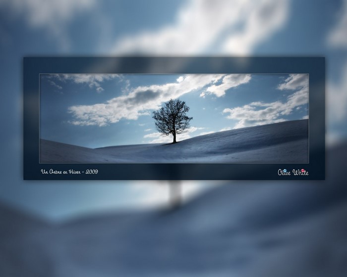 Tree in a snowy landscape with clouds