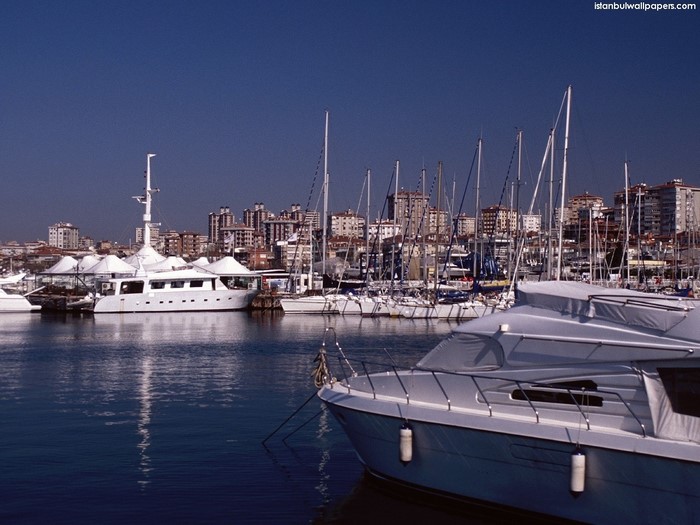 Boats docked in a harbor with a cityscape in the background