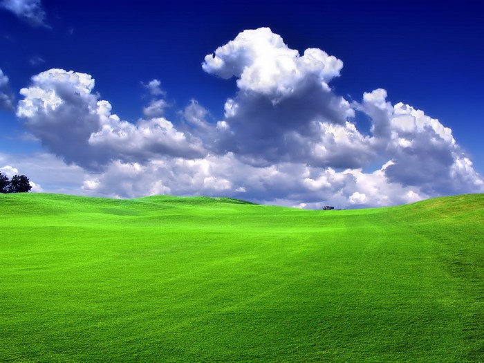 Green rolling hills under a blue sky with cumulus clouds