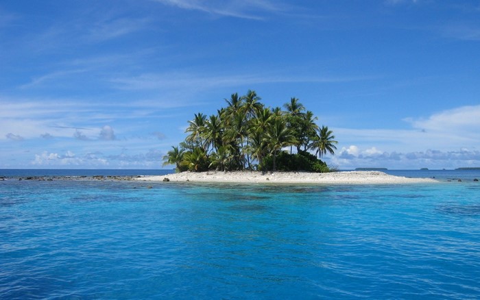 Tropical island with palm trees in the ocean