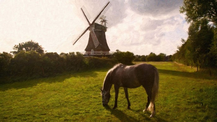 Horse grazing in a field with a windmill