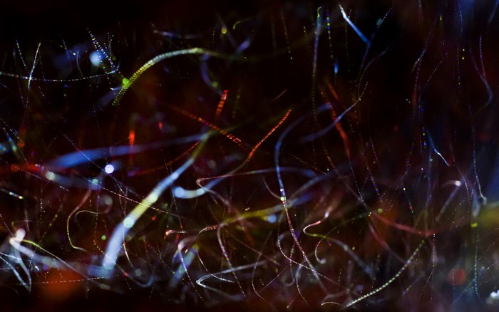 Abstract light streaks in darkness