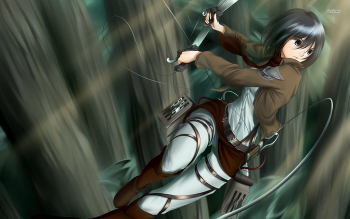 Mikasa Ackerman from Attack on Titan