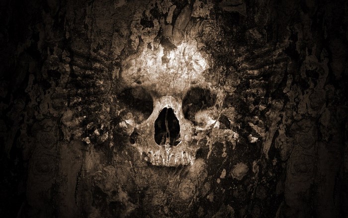 Skull formation in a dark cave