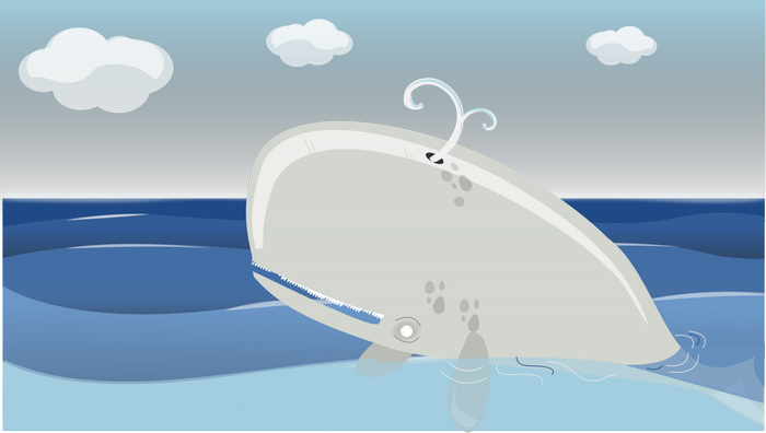 Whale spouting water in the ocean with clouds