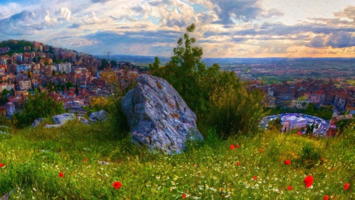 Hillside town with wildflowers and a large rock