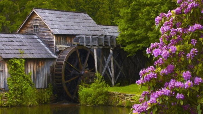 Old wooden mill with water wheel and purple flowers