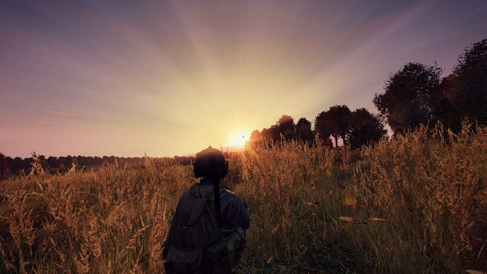DayZ: Player walks through a field at sunrise