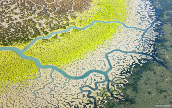 Aerial view of a river delta with green wetlands and tidal channels