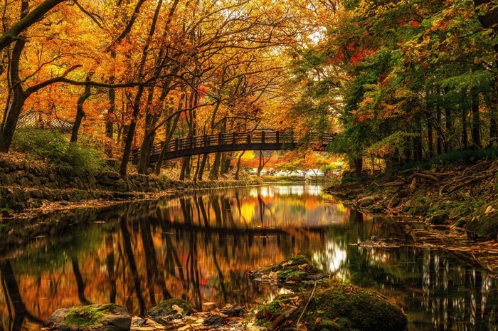 Bridge over a river in an autumn forest with reflections