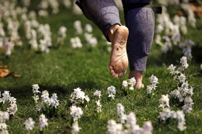 Barefoot person walking through white flowers on grass