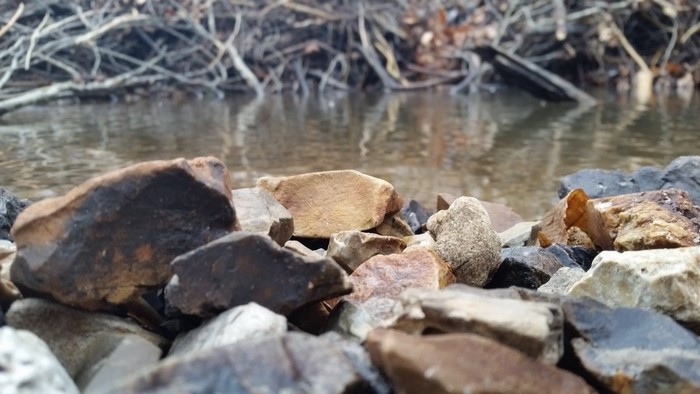 Rocks by a stream with branches in the background