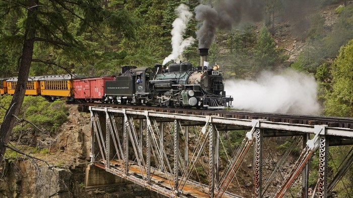 Steam locomotive on a bridge in a forest