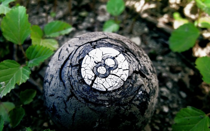 Cracked 8 ball on the ground with leaves