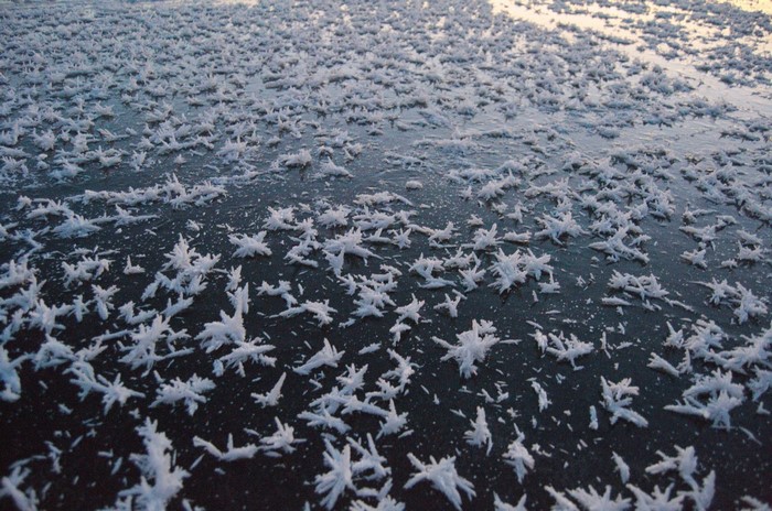 Ice crystals on a dark surface