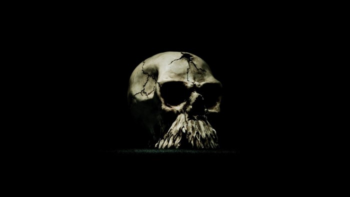 Cracked human skull on a black background
