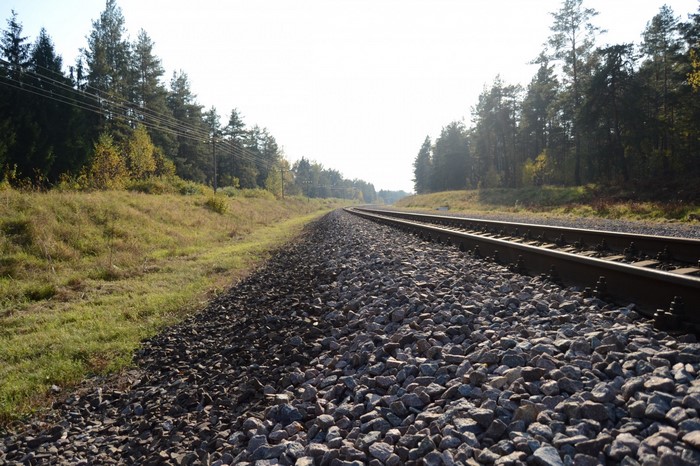 Railway tracks through a forest with power lines