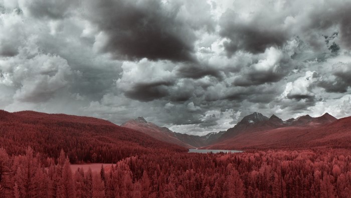 Red forest and mountains under cloudy sky