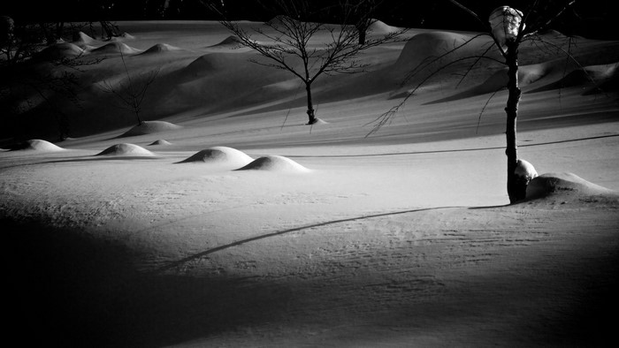 Monochrome winter landscape with snow-covered mounds and trees