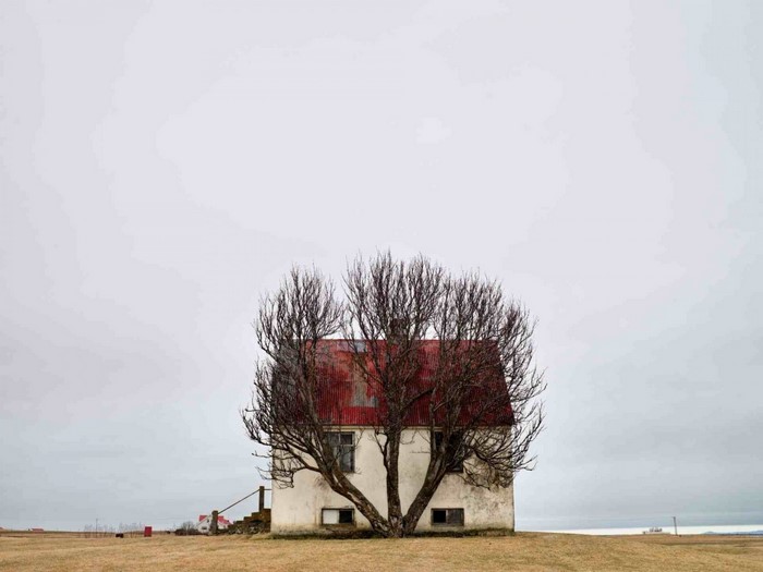 A solitary house with a red roof and a bare tree in front