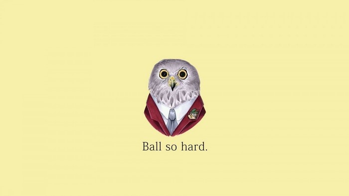 Illustration of an owl wearing a suit with text