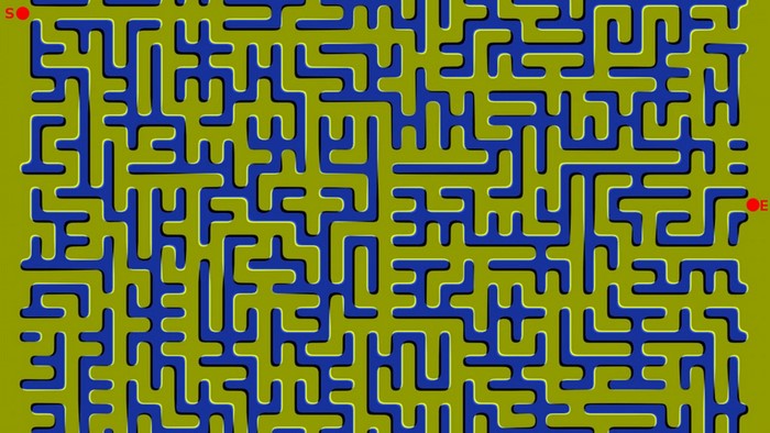 Optical illusion maze with start and end points