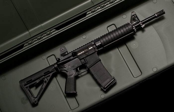 LWRC M6 carbine in a case