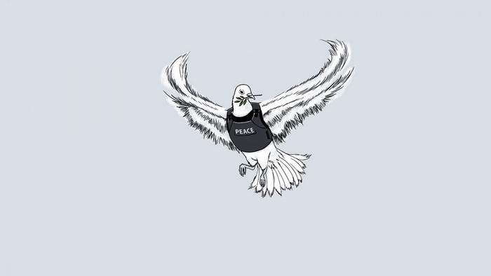 Dove wearing a bulletproof vest with a peace branch