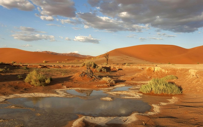 Desert landscape with sand dunes and a small pond