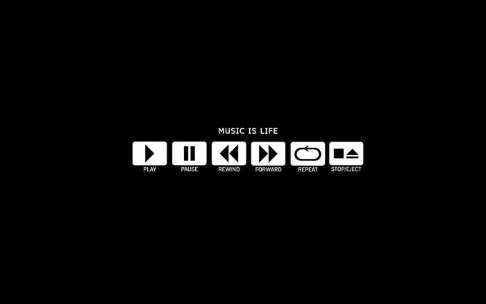 Music is Life media player controls