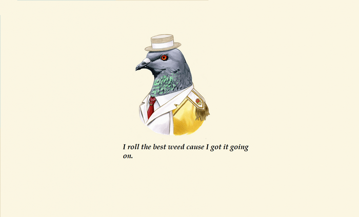Pigeon in a suit and hat with a quote