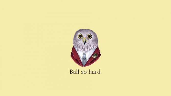 Illustration of an owl wearing a suit with text