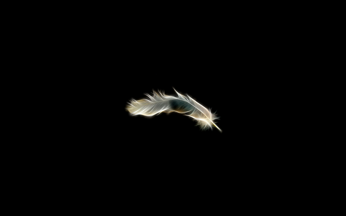 A single feather against a black background