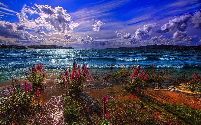 Waves crash on a shore with pink flowers under a dramatic sky