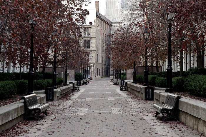 Autumn park pathway with benches and trees